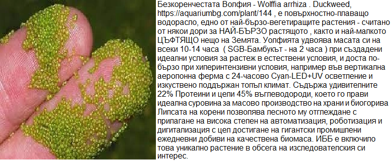 ТЕХНОЛОГИИ ЗА ЕВТИН ДОБИВ НА ИНЖЕНЕРНА БИОМАСА, БИОГОРИВА, ХРАНИ, МАТЕРИАЛИ