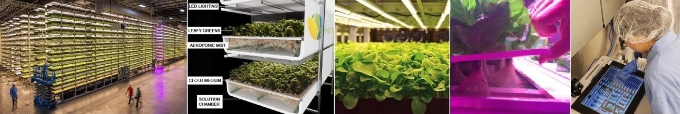 ТЕХНОЛОГИИ ЗА ЕВТИН ДОБИВ НА ИНЖЕНЕРНА БИОМАСА, БИОГОРИВА, ХРАНИ, МАТЕРИАЛИ
