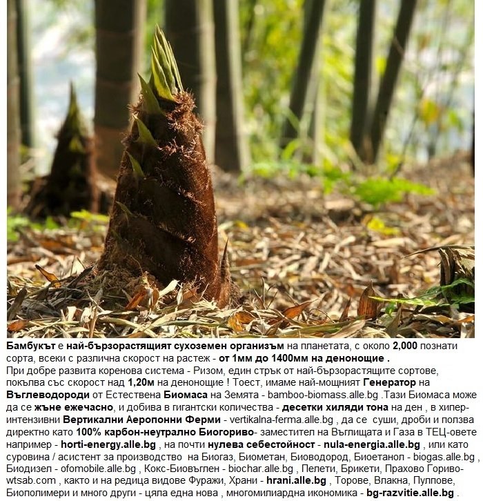 ТЕХНОЛОГИИ ЗА ЕВТИН ДОБИВ НА ИНЖЕНЕРНА БИОМАСА, БИОГОРИВА, ХРАНИ, МАТЕРИАЛИ