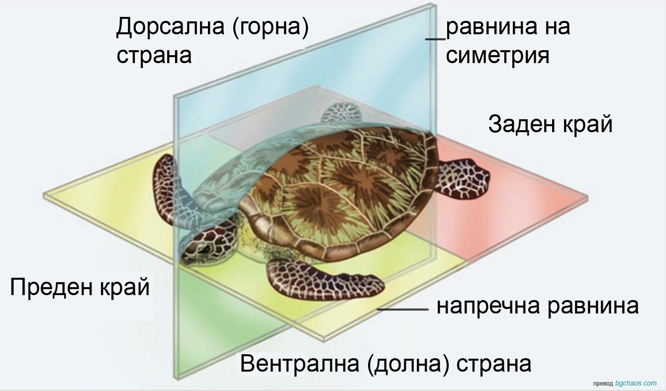 Еднаквости в равнината