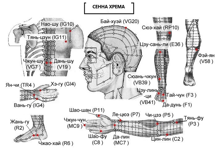 СЕННА ХРЕМА | ЕЛЕКТРОПУНКТУРА
