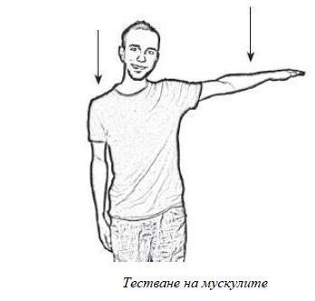 АКУПРЕСУРА ЗА ЕМОЦИОНАЛНОТО ТЯЛО | ЕЛЕКТРОПУНКТУРА