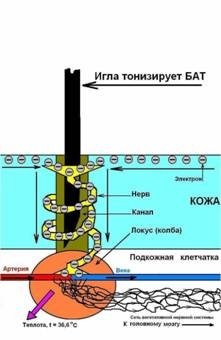 ЕЛЕКТРОНЕН ЛЕЧЕБНО-ДИАГНОСТИЧЕН АПАРАТ "ЕЛЕДИА" | ЕЛЕКТРОПУНКТУРА