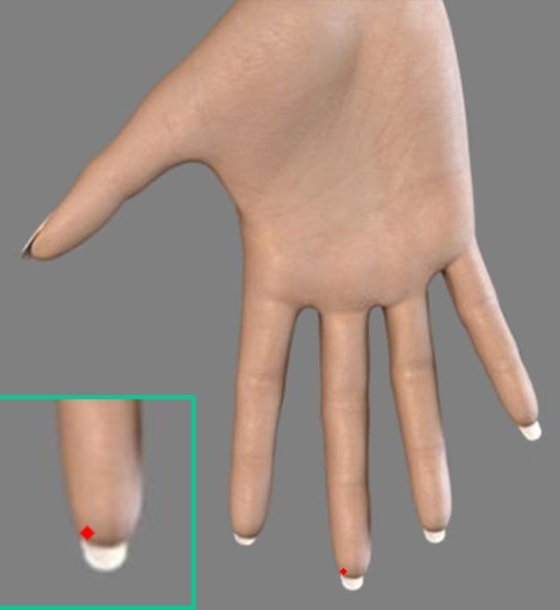 ЕЛЕКТРОПУНКРУРНА ДИАГНОСТИКА ПО СУ ДЖОК | ЕЛЕКТРОПУНКТУРА