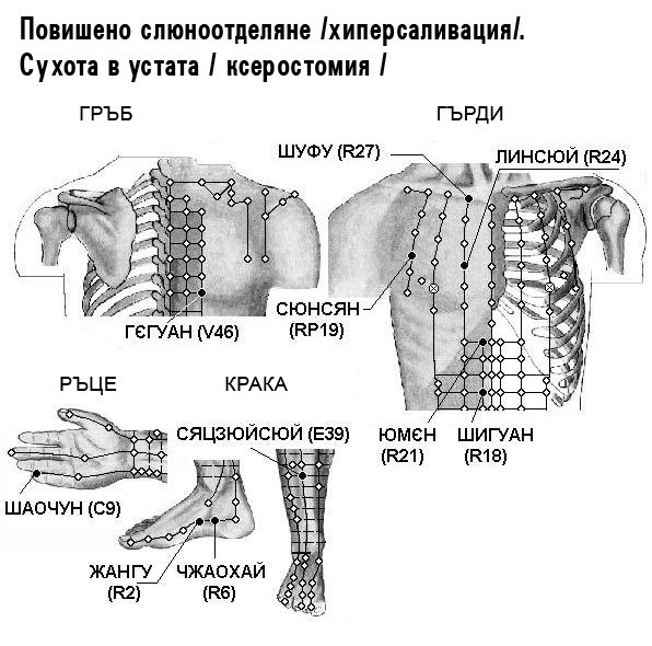 ПОВИШЕНО СЛЮНООТДЕЛЯНЕ, СУХОТА | ЕЛЕКТРОПУНКТУРА