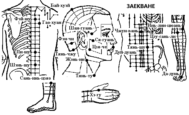 Заекване | ЕЛЕКТРОПУНКТУРА
