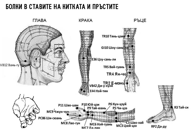 БОЛКИ В СТАВИТЕ НА КИТКАТА И ПРЪСТИТЕ | ЕЛЕКТРОПУНКТУРА