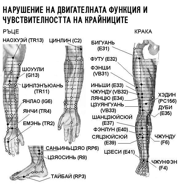 НАРУШЕНА ДВИГАТЕЛНА ФУНКЦИЯ | ЕЛЕКТРОПУНКТУРА