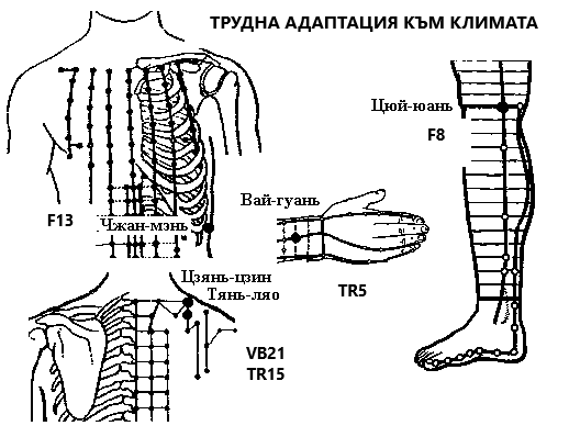 АДАПТАЦИЯ КЪМ КЛИМАТИЧНИТЕ ПРОМЕНИ | ЕЛЕКТРОПУНКТУРА