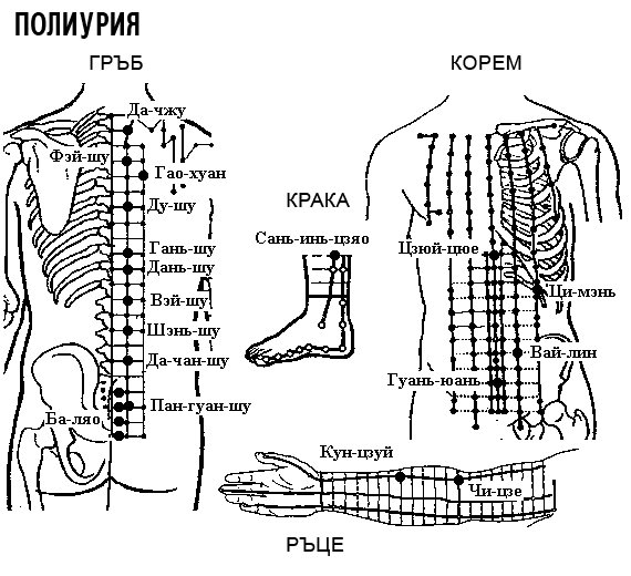 ПОЛИУРИЯ | ЕЛЕКТРОПУНКТУРА