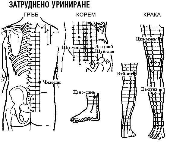 ЗАТРУДНЕНО УРИНИРАНЕ | ЕЛЕКТРОПУНКТУРА