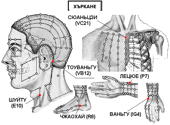 ХЪРКАНЕ | ЕЛЕКТРОПУНКТУРА