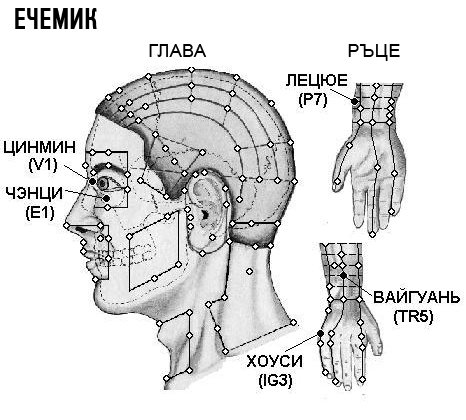 ЕЧЕМИК | ЕЛЕКТРОПУНКТУРА