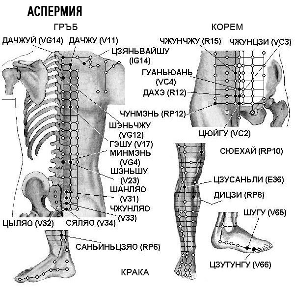 АСПЕРМИЯ | ЕЛЕКТРОПУНКТУРА