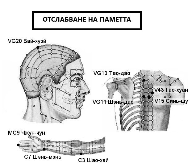 ОТСЛАБВАНЕ НА ПАМЕТТА | ЕЛЕКТРОПУНКТУРА