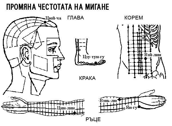 ПРОМЯНА ЧЕСТОТАТА НА МИГАНЕ | ЕЛЕКТРОПУНКТУРА
