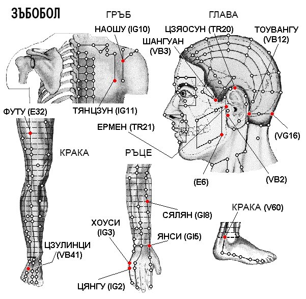 ЗЪБОБОЛ | ЕЛЕКТРОПУНКТУРА