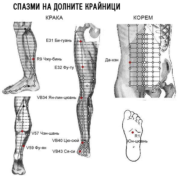 СПАЗМИ НА ДОЛНИТЕ КРАЙНИЦИ | ЕЛЕКТРОПУНКТУРА