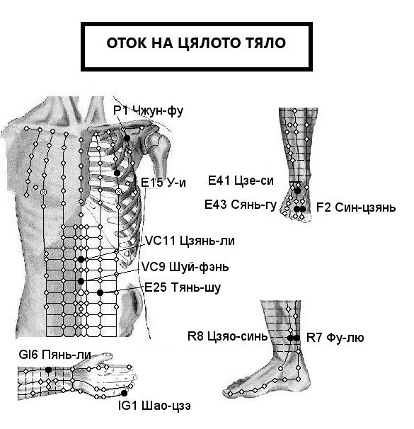 ОТОК НА ЦЯЛОТО ТЯЛО | ЕЛЕКТРОПУНКТУРА