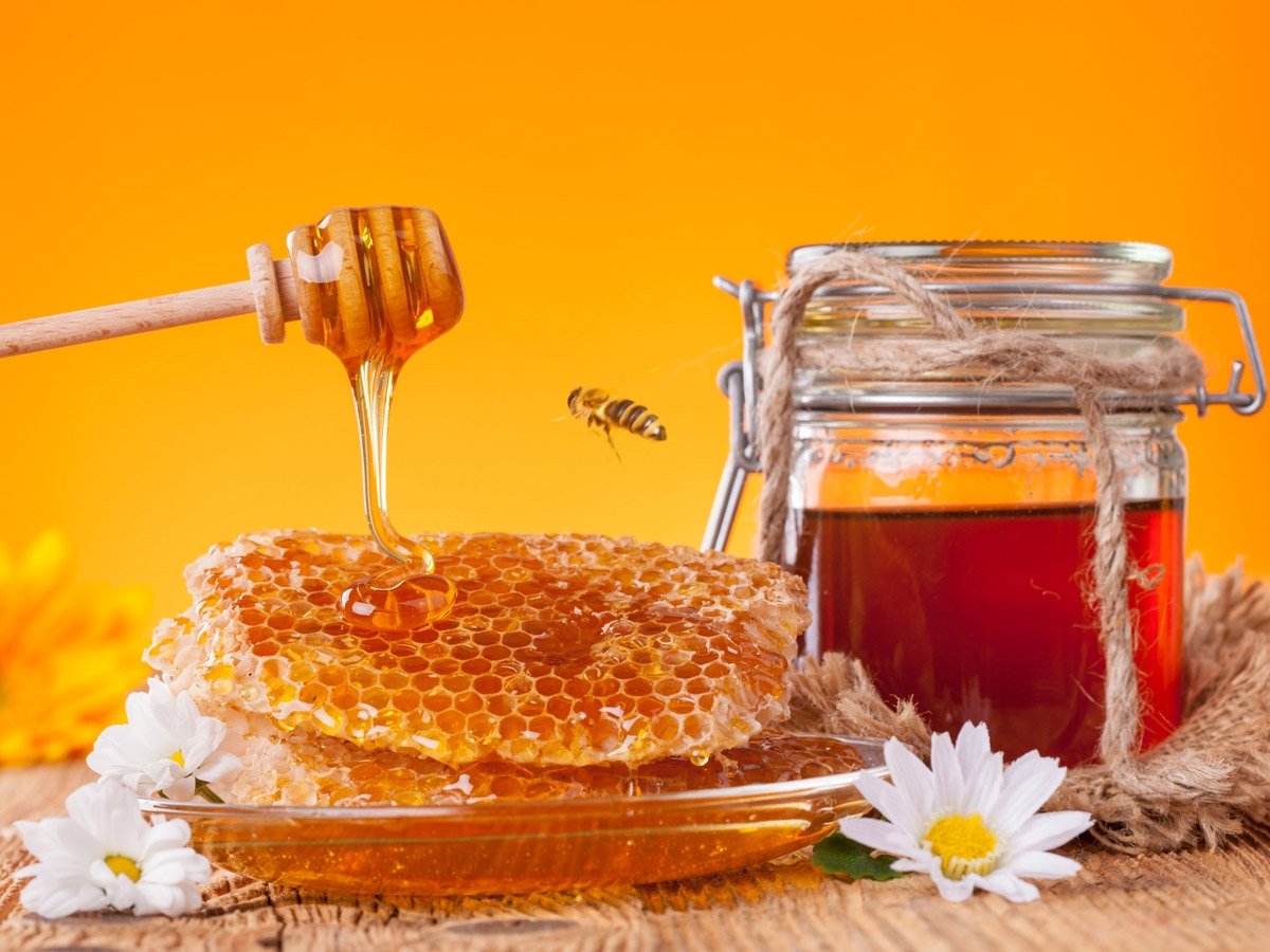 БЛОГ | ЕЛЕКТРОПУНКТУРА