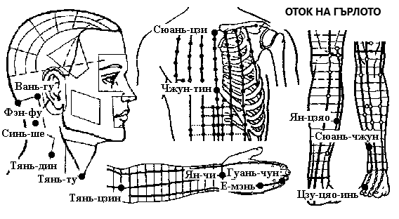 Оток и болка на лигавацита на гърлото | ЕЛЕКТРОПУНКТУРА