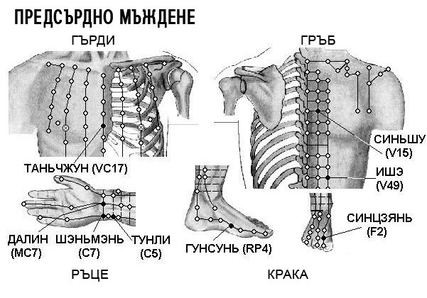 ПРЕДСЪРДНО МЪЖДЕНЕ | ЕЛЕКТРОПУНКТУРА