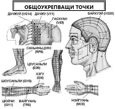 ОБЩОУКРЕПВАЩИ ТОЧКИ | ЕЛЕКТРОПУНКТУРА
