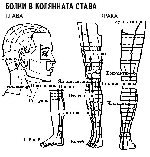 БОЛКИ В КОЛЯННАТА СТАВА | ЕЛЕКТРОПУНКТУРА