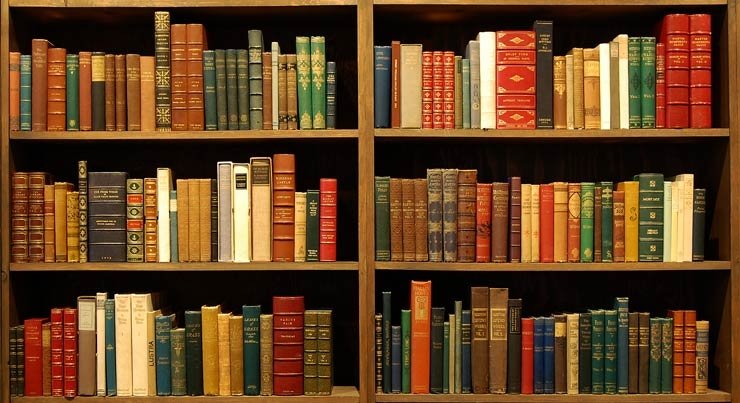 КНИГИ ЗА СВАЛЯНЕ | ЕЛЕКТРОПУНКТУРА