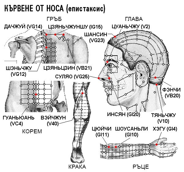 КЪРВЕНЕ ОТ НОСА | ЕЛЕКТРОПУНКТУРА