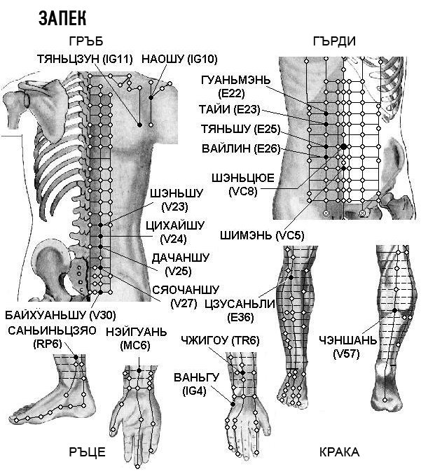 ЗАПЕК | ЕЛЕКТРОПУНКТУРА