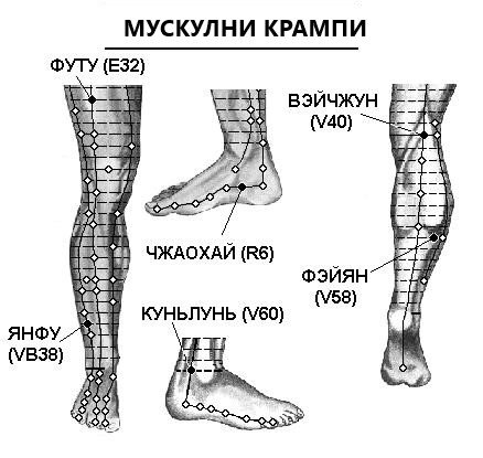 МУСКУЛНИ КРАМПИ | ЕЛЕКТРОПУНКТУРА