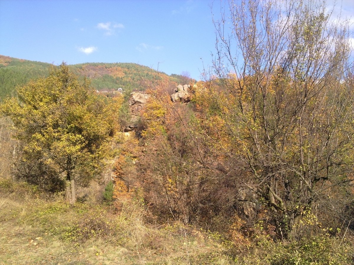 есен в Дефилето