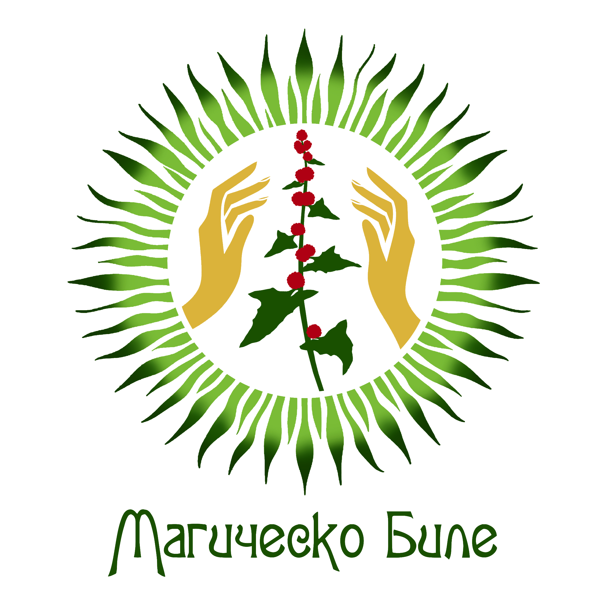 Онлайн магазин "Магическо биле"