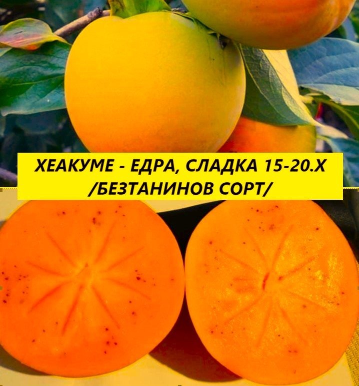ХЕАКУМЕ