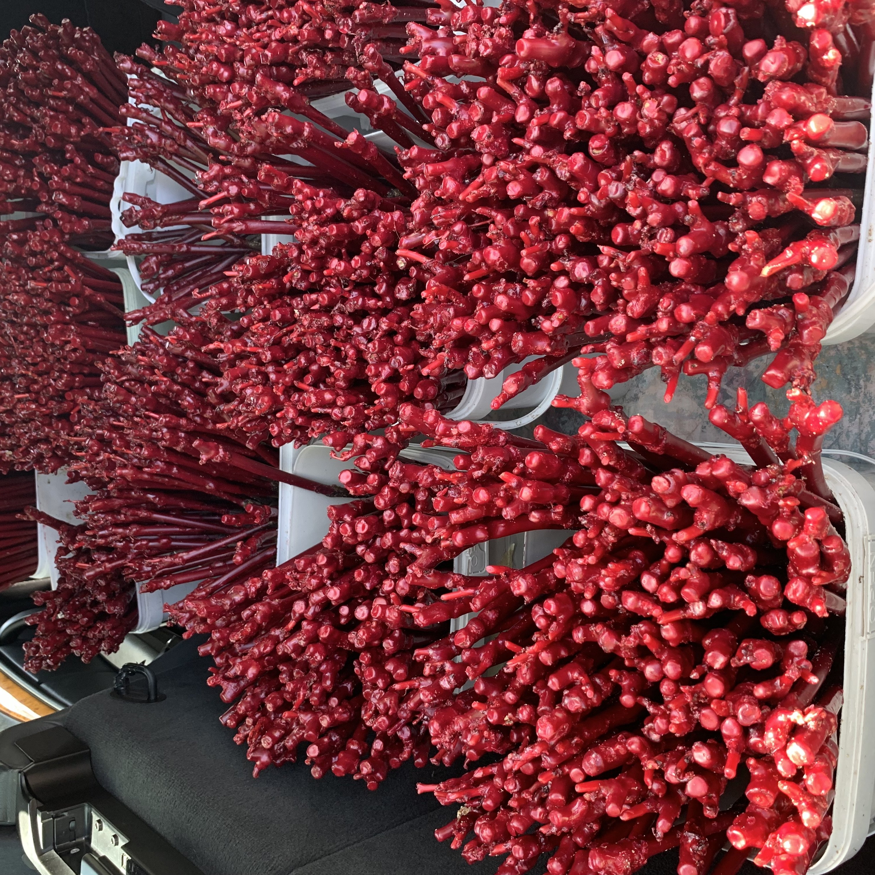ГАЛЕРИЯ