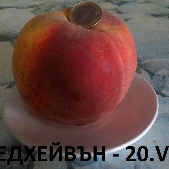 ПРАСКОВИ