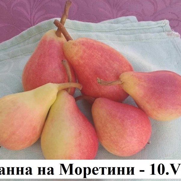 КРУШИ