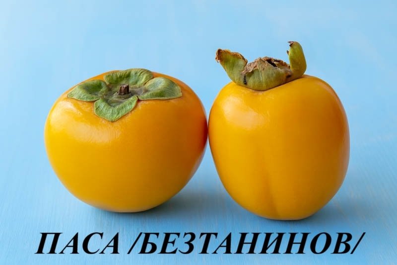 ПАСА