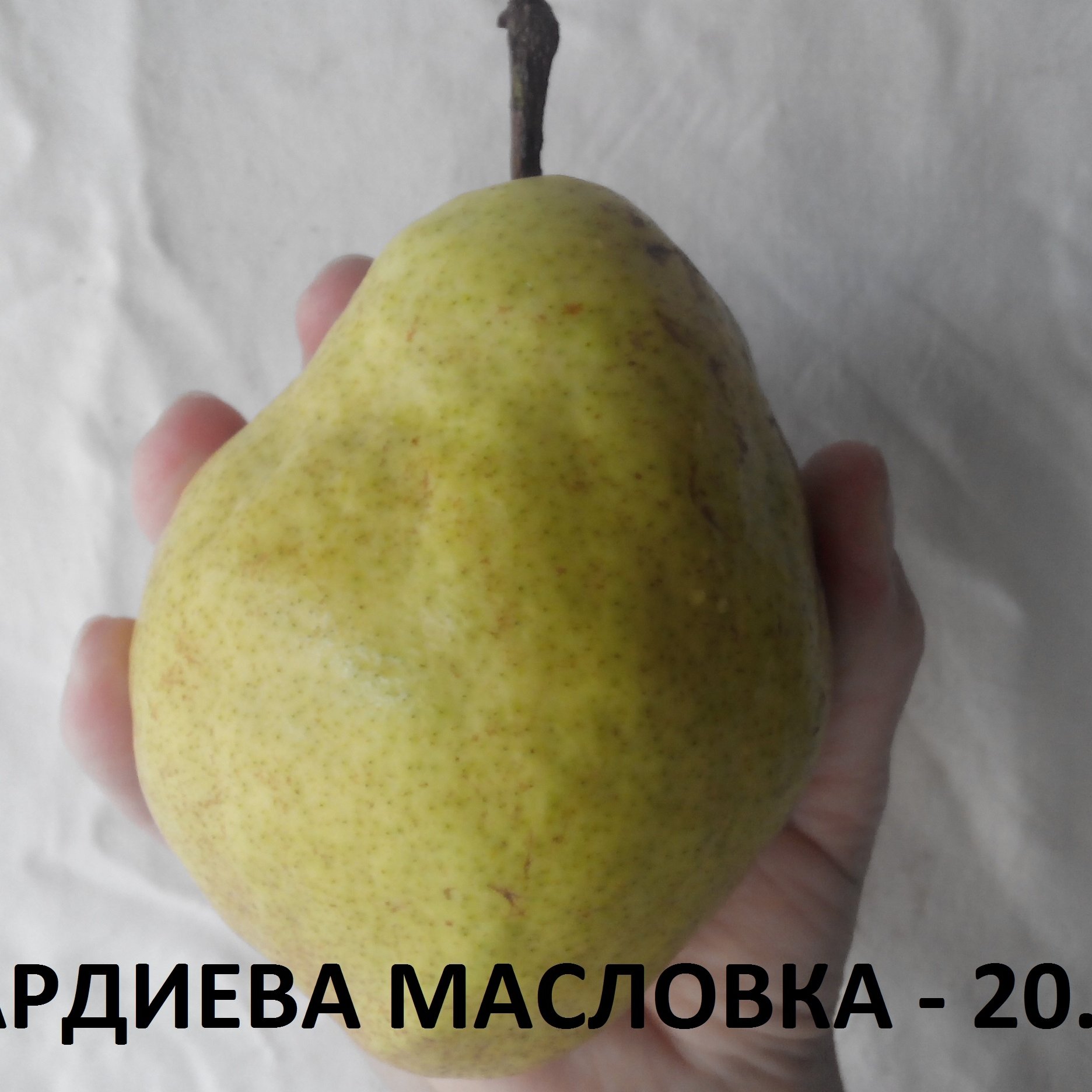 КРУШИ