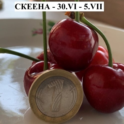 ЧЕРЕШИ