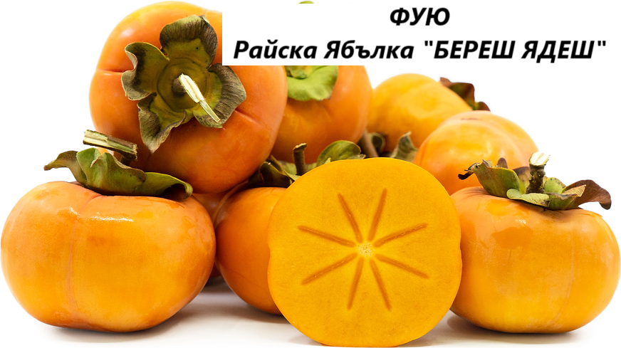 ФУЮ