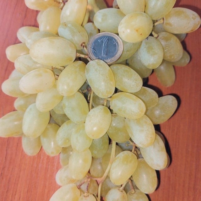 ДЕСЕРТНИ