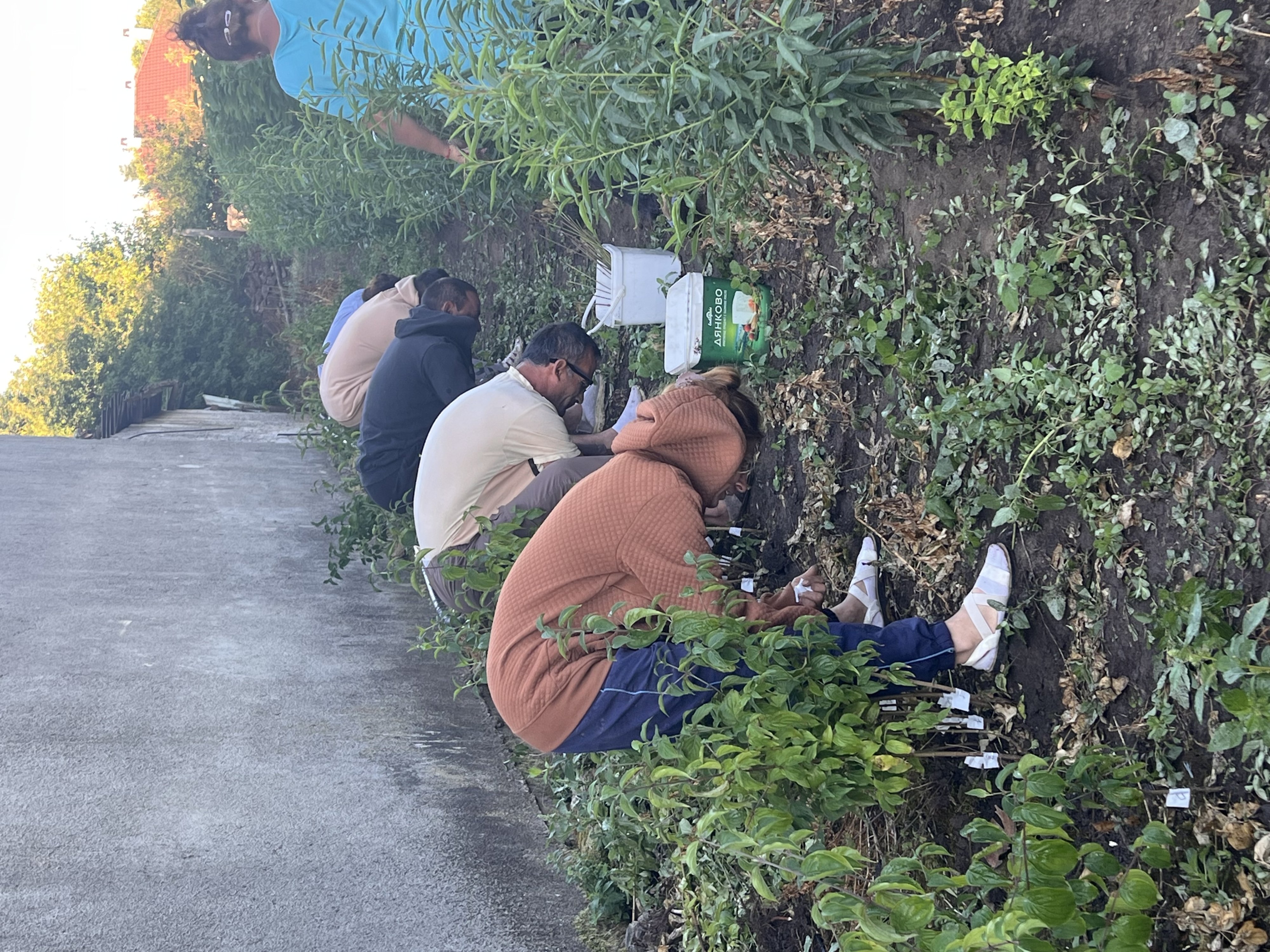 ГАЛЕРИЯ