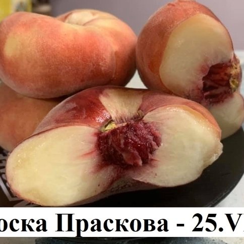 ПРАСКОВИ
