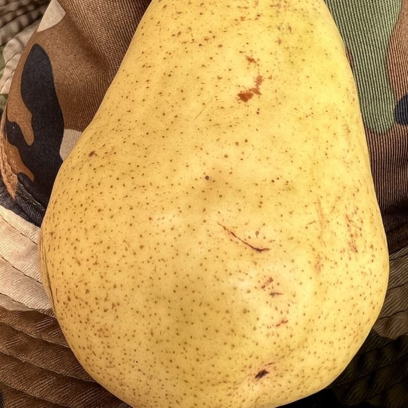 КРУШИ