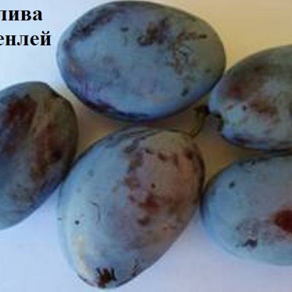СЛИВИ