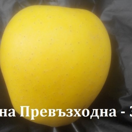 ЯБЪЛКИ