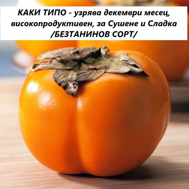 КАКИ ТИПО
