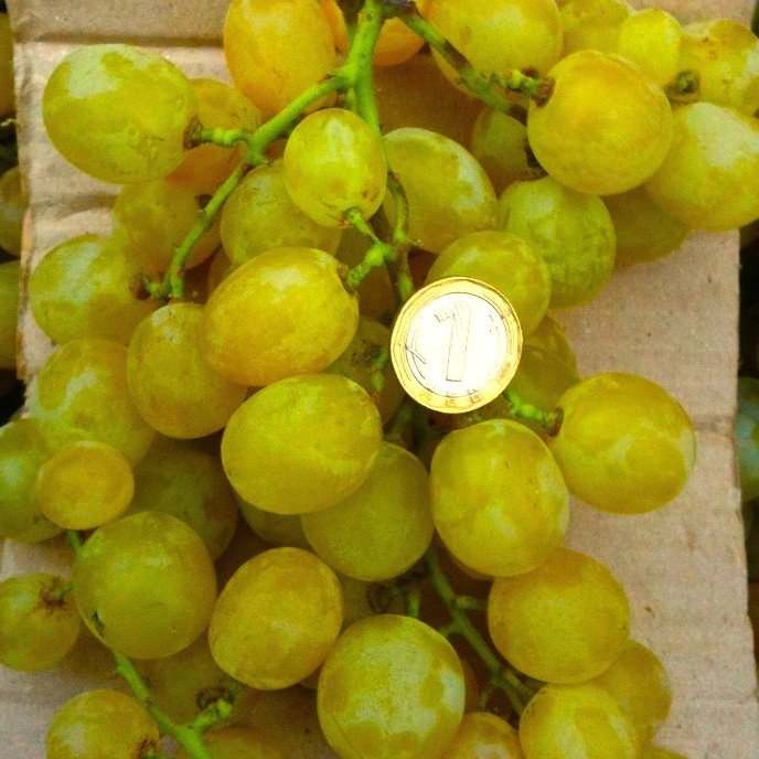 ДЕСЕРТНИ
